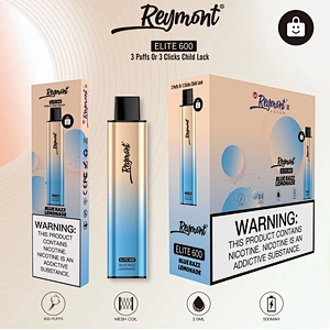 Reymont Elite 600 PUFFS Business Style Conciseness Disposable Electronic Cigarette Vape Pen Mesh Coil a Greater Flavour Delivery Until the Last Puff
